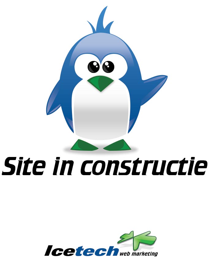 Web design by Icetech